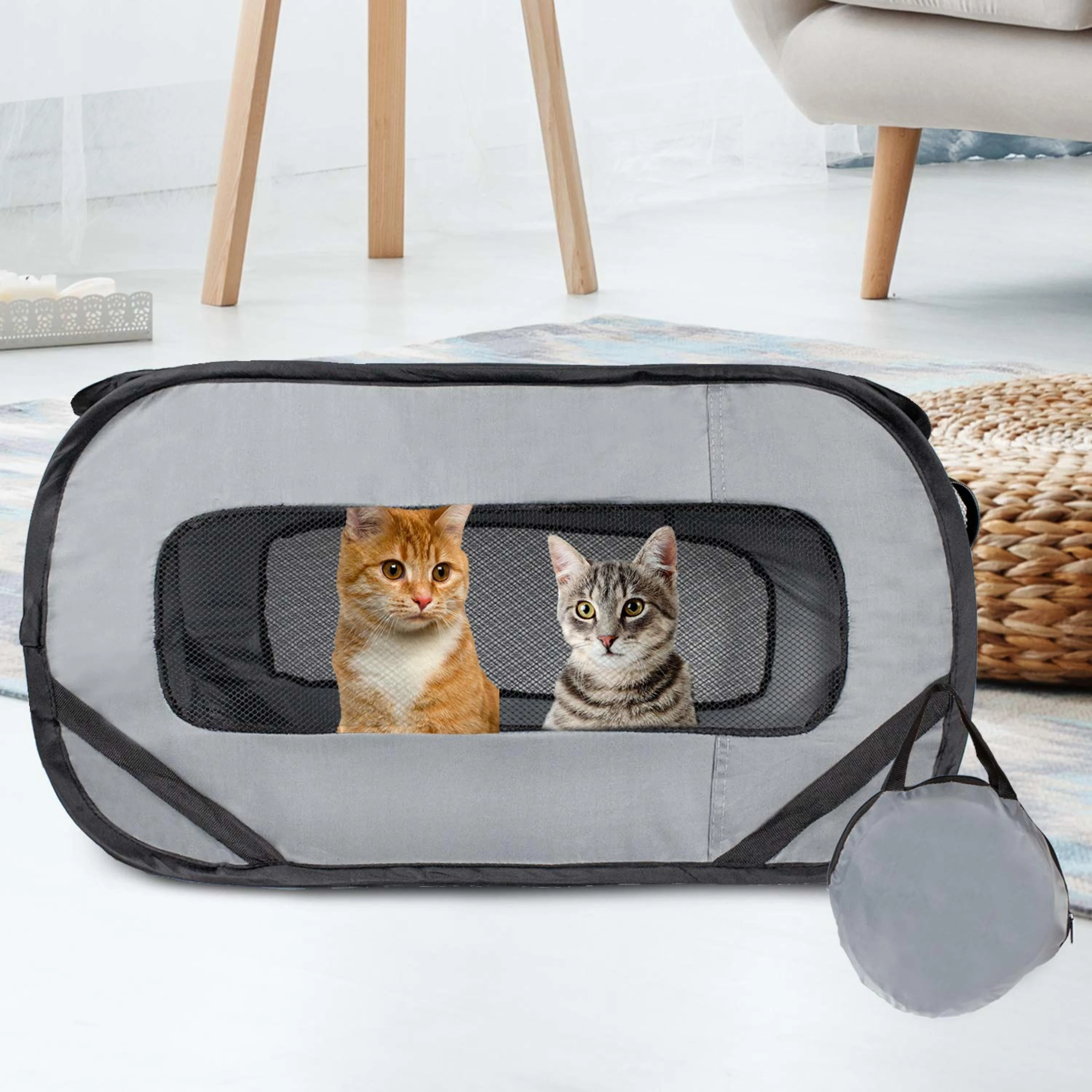 Beds & Carriers